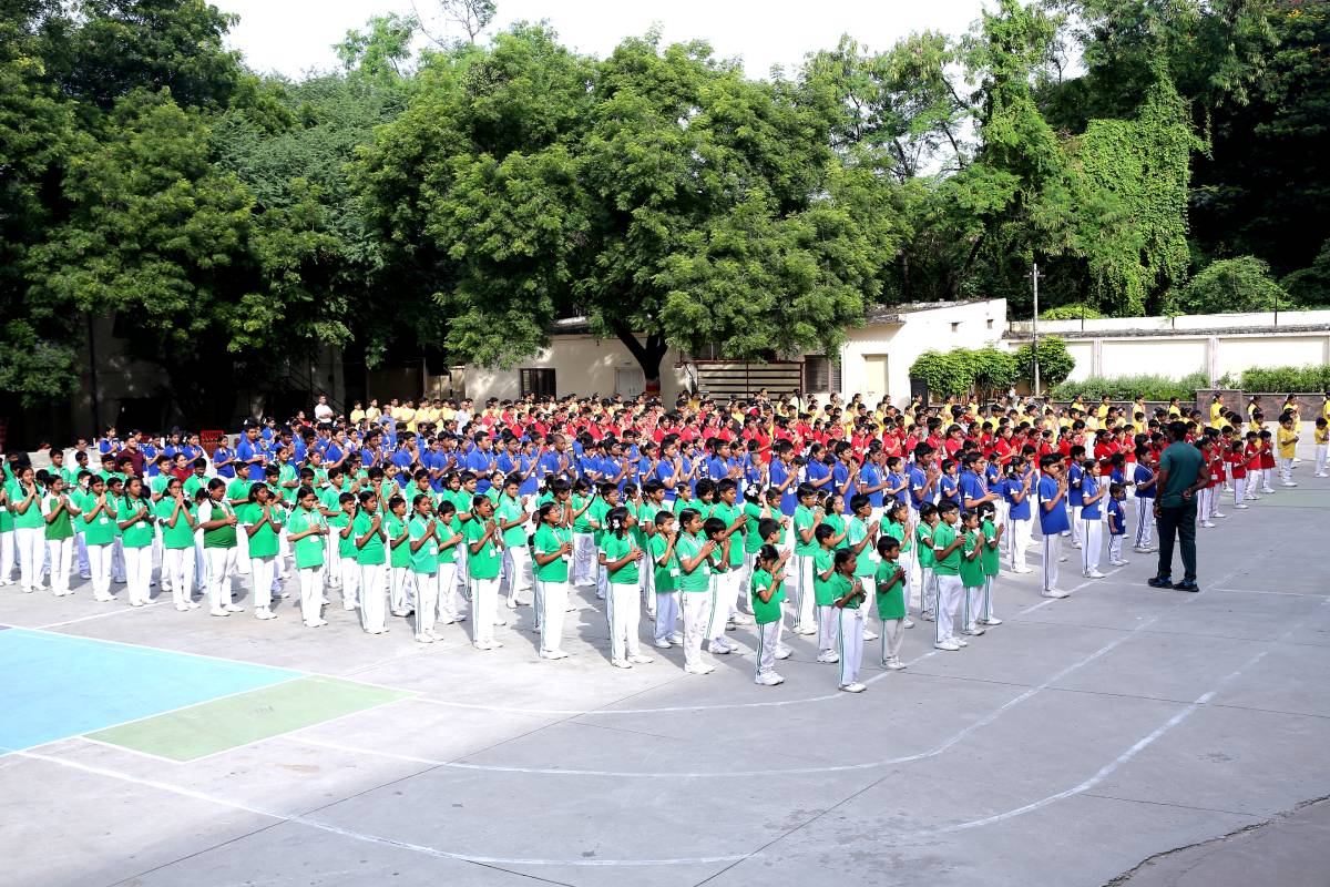 Assembly (10)