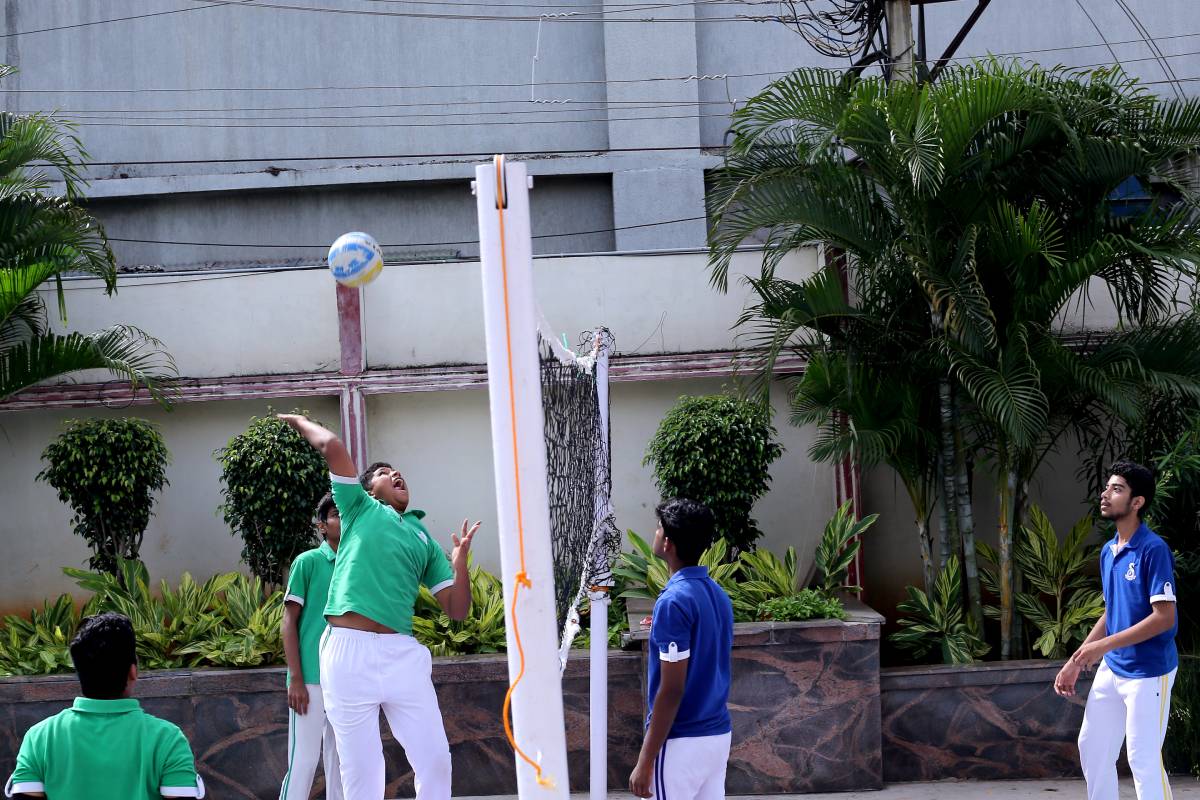 Sports (4)
